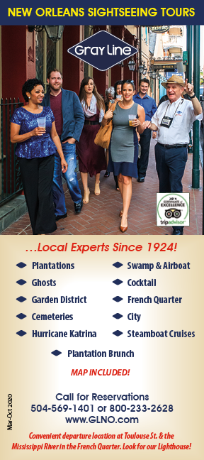 Gray Line Brochure cover